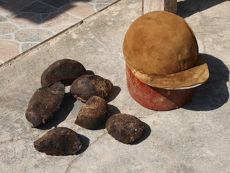 Zunderkerne, Model und Kappe