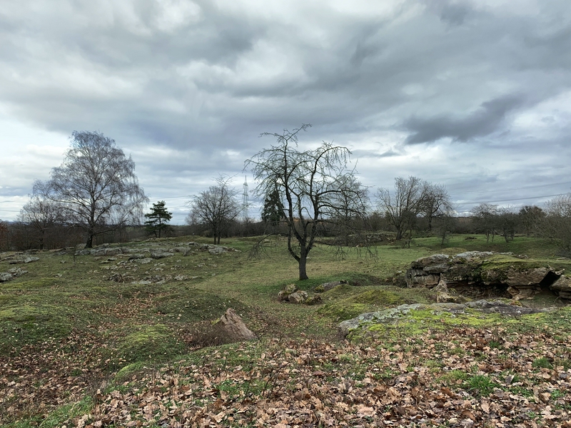 Moss-rich rock corridors