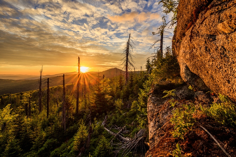 Hochlagen im Bayerischen Wald